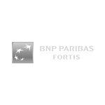 BNP Fortis